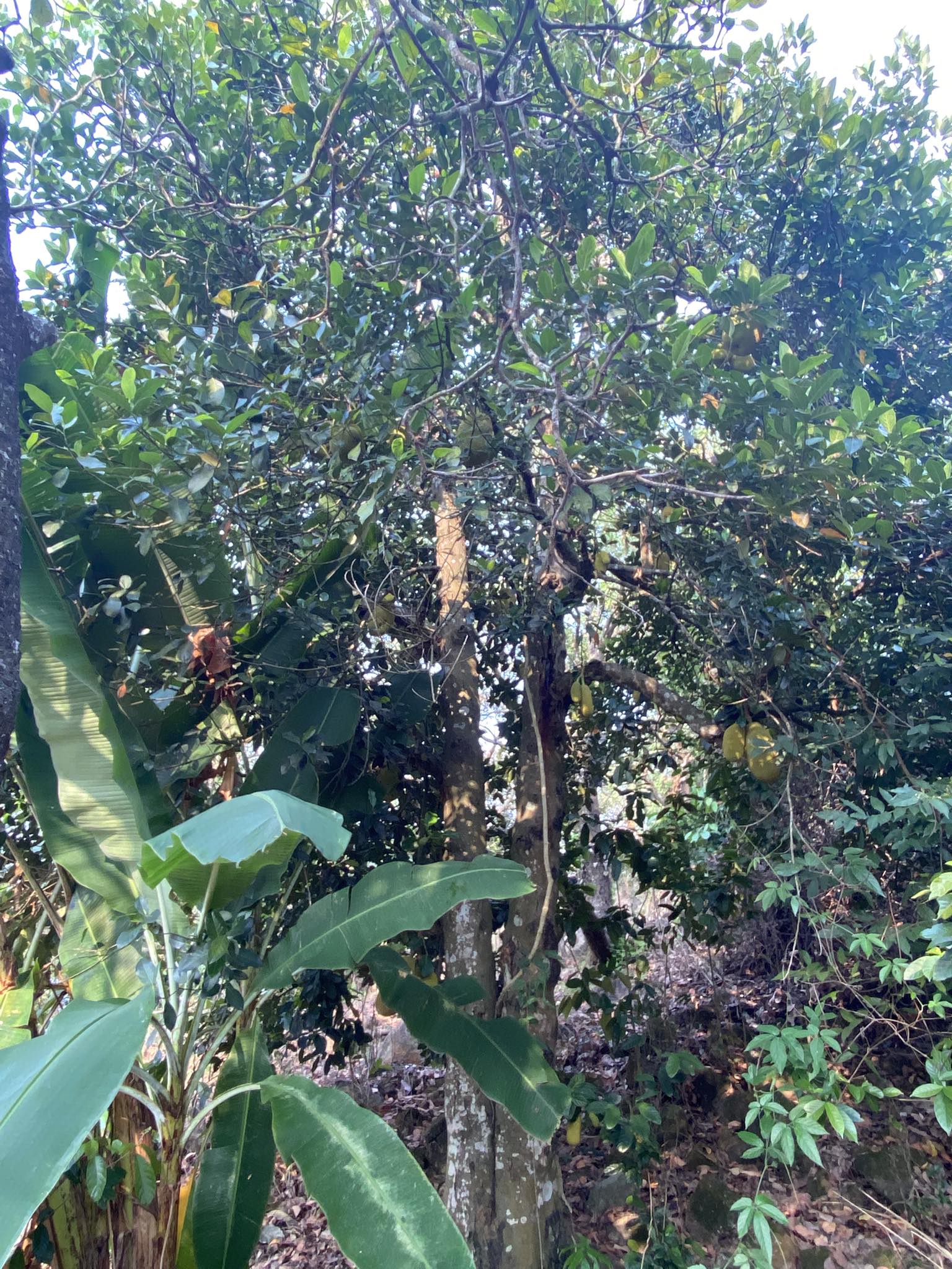 Thích Hơn & Phù Hợp Hơn Bạn Chọn Gì?